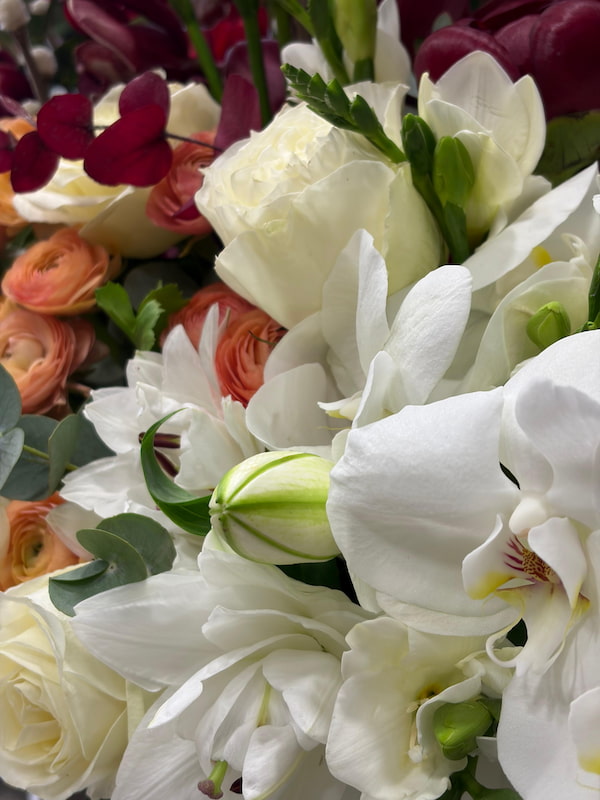 Vinoso Deluxe Aranjman