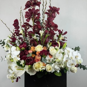 Vinoso Deluxe Aranjman