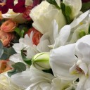 Vinoso Deluxe Aranjman