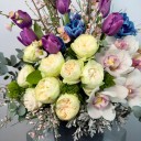 Elena Deluxe Mor Lale Beyaz Cymbidium