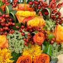 Kepri Sonbahar Aranjman