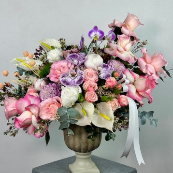 Mignon Deluxe Aranjman