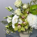 Midori Beyaz Aranjman