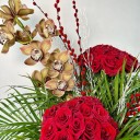 Red Roe Kırmızı Güller ve Cymbidium