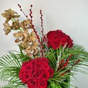 Red Roe Kırmızı Güller ve Cymbidium