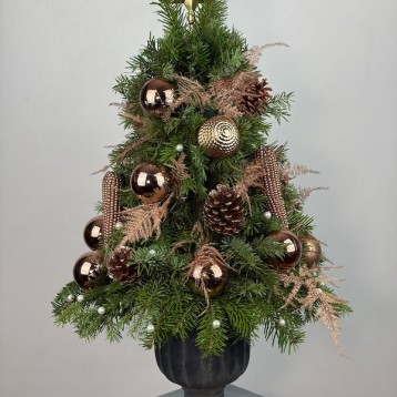 Pine Yılbaşı Ağacı