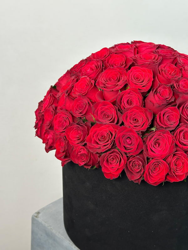 Envei Deluxe Kutuda Gül