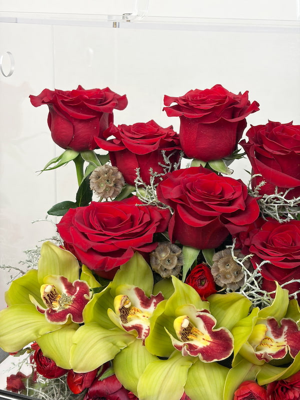 Florea Çanta Aranjman