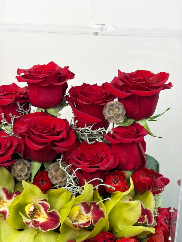 Florea Çanta Aranjman