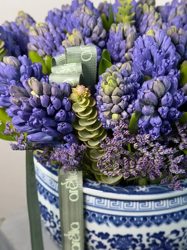 Liora Sümbül Aranjman