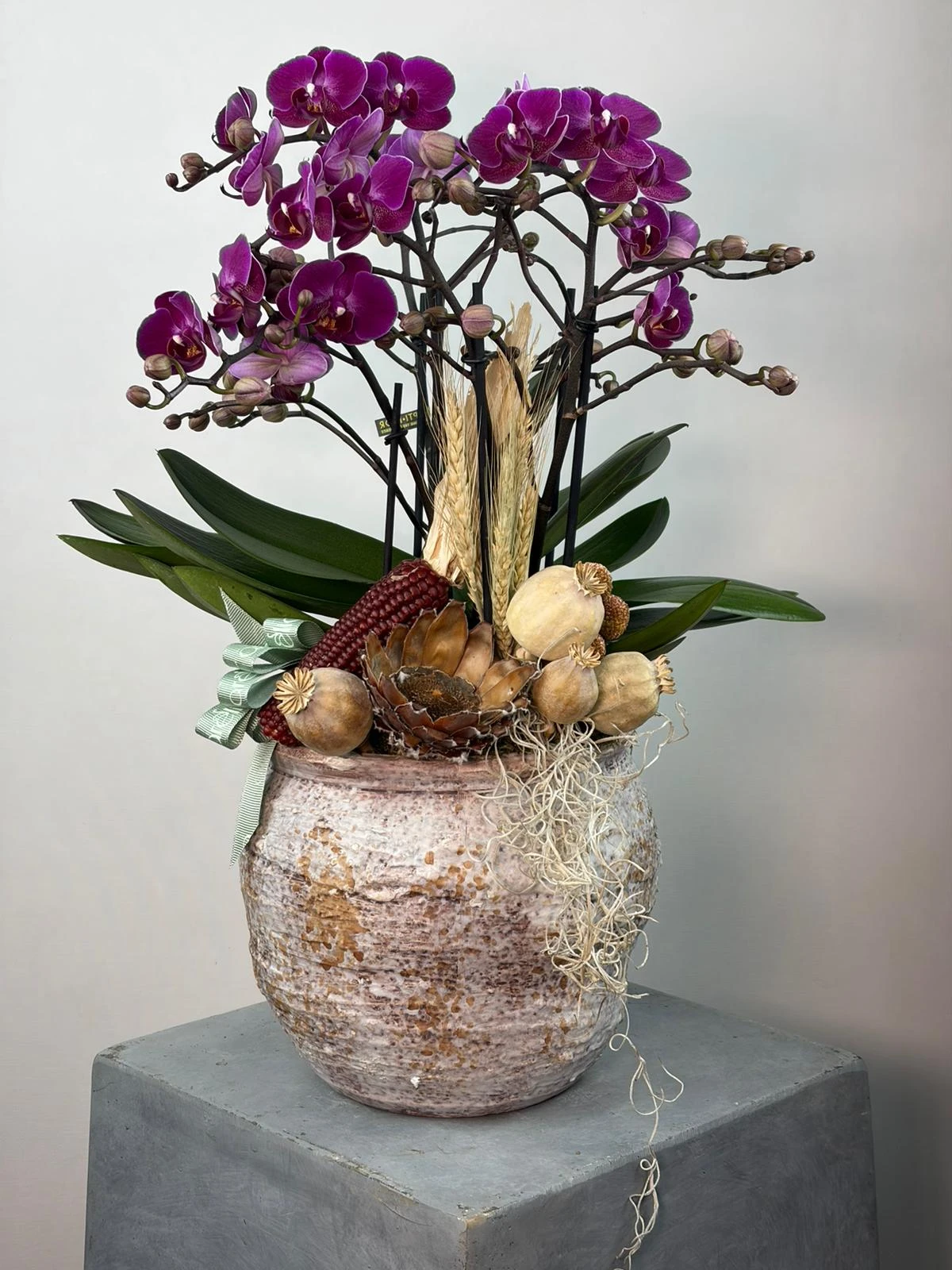 Handmade Seramik Vazoda Bellissimo Orkide