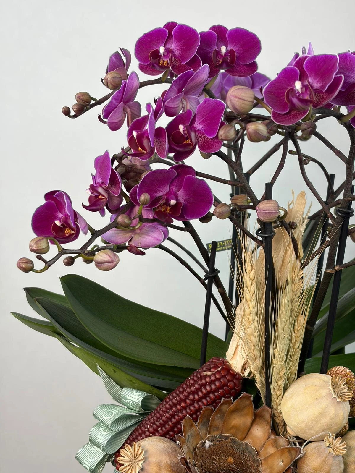 Handmade Seramik Vazoda Bellissimo Orkide