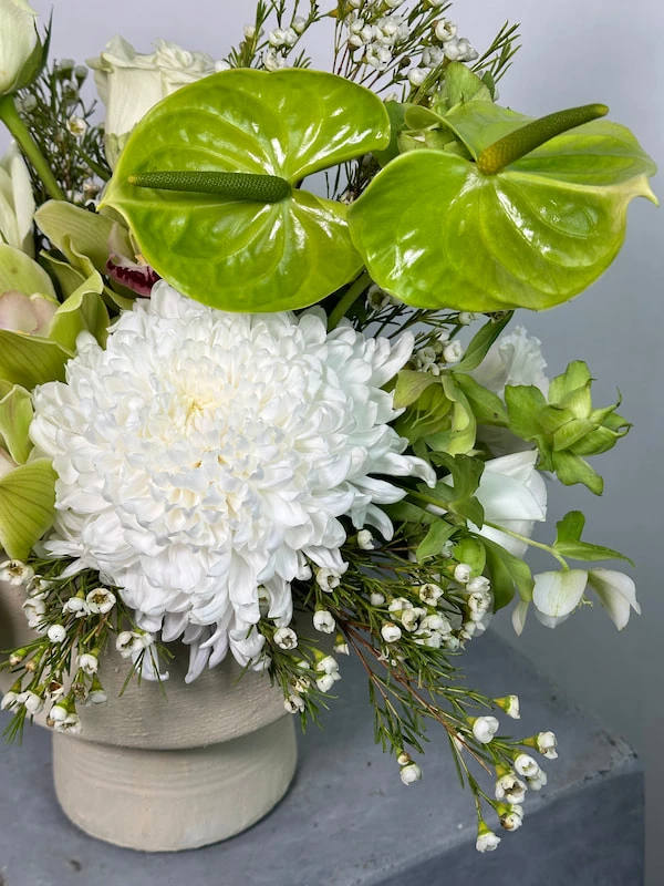 Midori Beyaz Aranjman