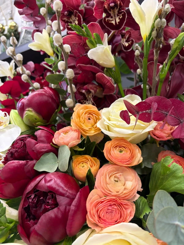 Vinoso Deluxe Aranjman