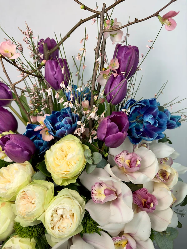 Elena Deluxe Mor Lale Beyaz Cymbidium