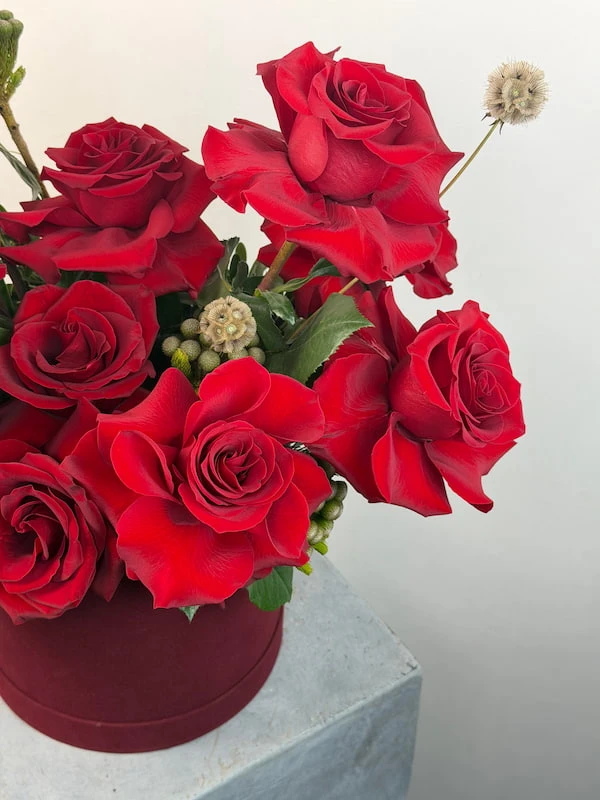 Valentia Deluxe Kutu Aranjman