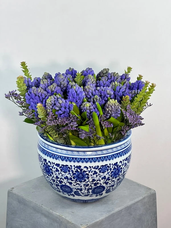 Liora Sümbül Aranjman