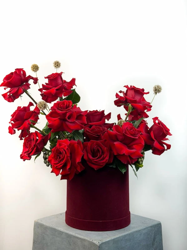 Valentia Deluxe Kutu Aranjman