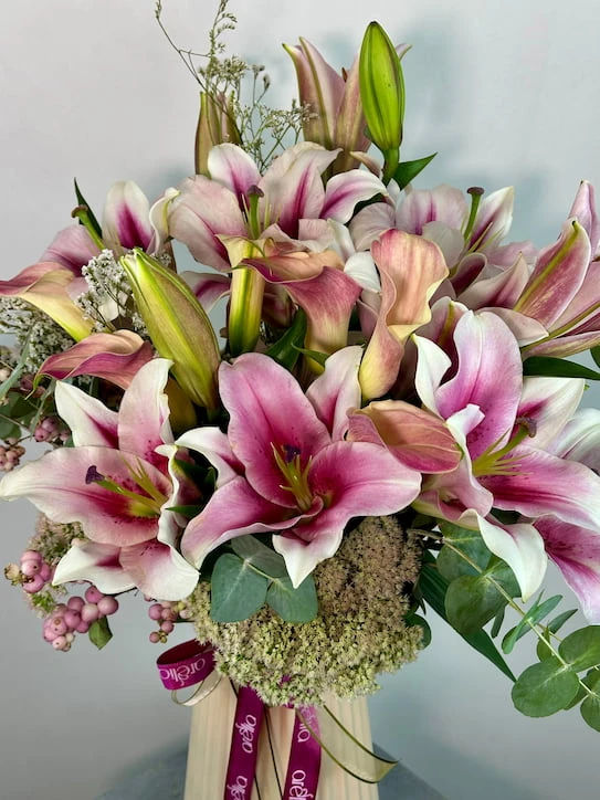 Taffy Lilyum Aranjman