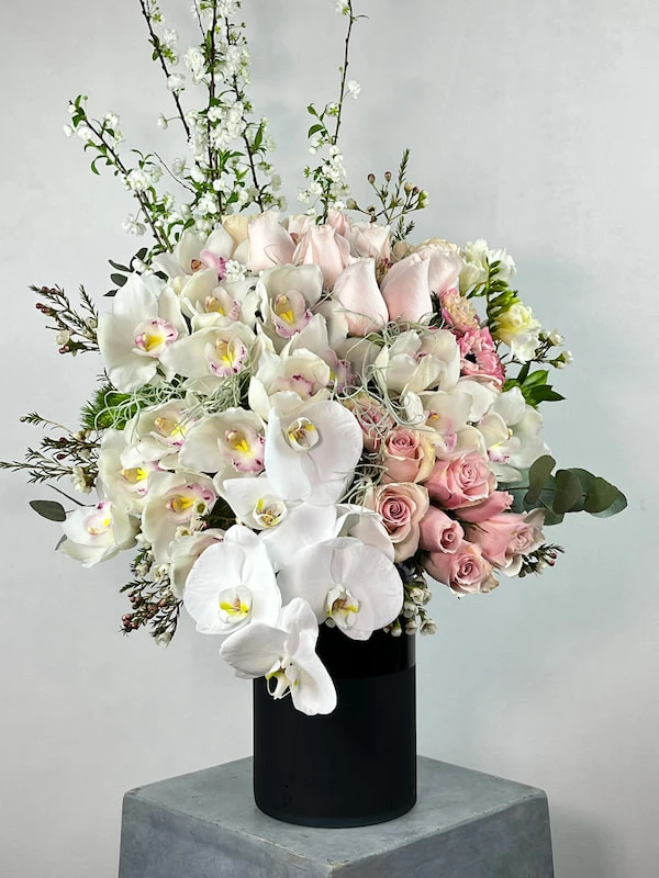 Poudre Deluxe Aranjman