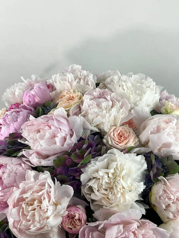 Pluffy Şakayık Kutu Aranjman