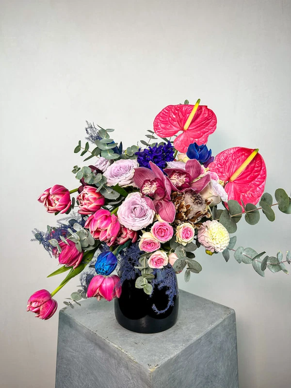 Vita Renkli Aranjman