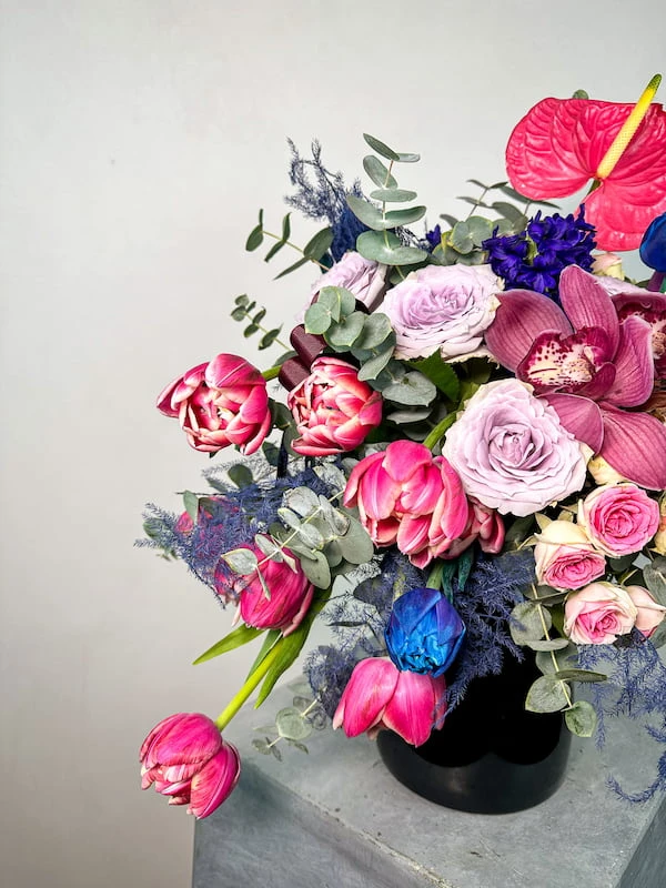 Vita Renkli Aranjman