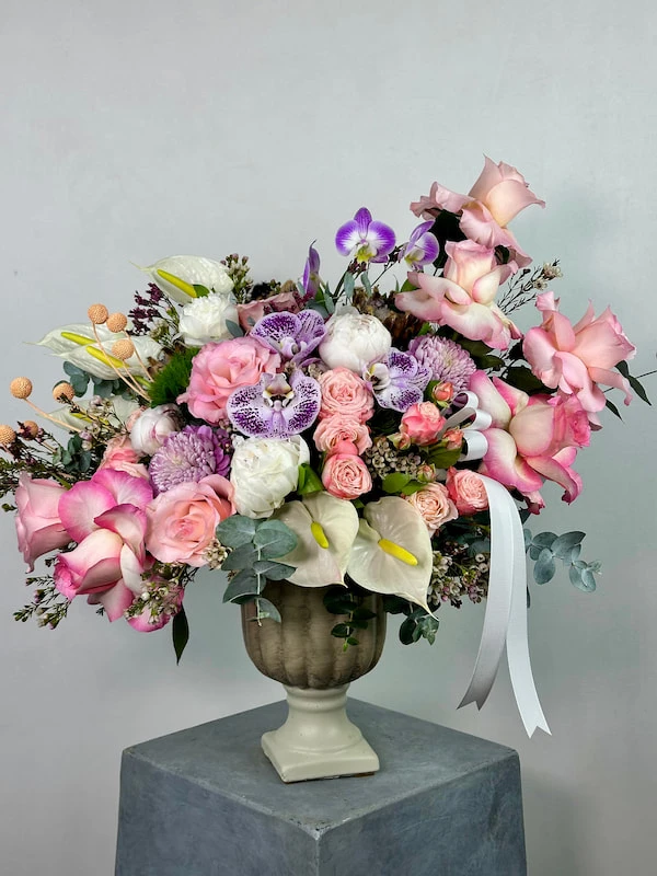 Mignon Deluxe Aranjman