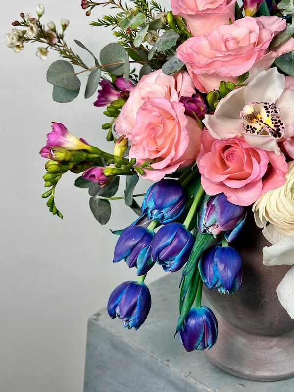 Voar Deluxe Aranjman