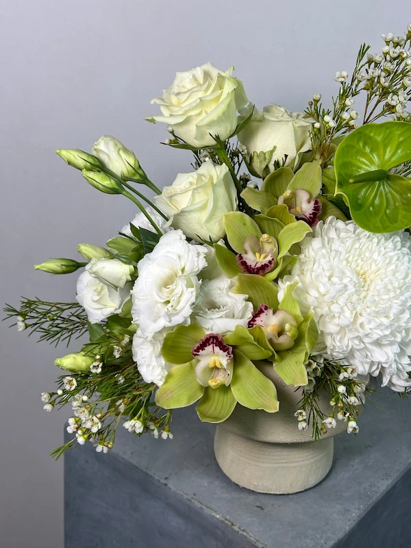 Midori Beyaz Aranjman