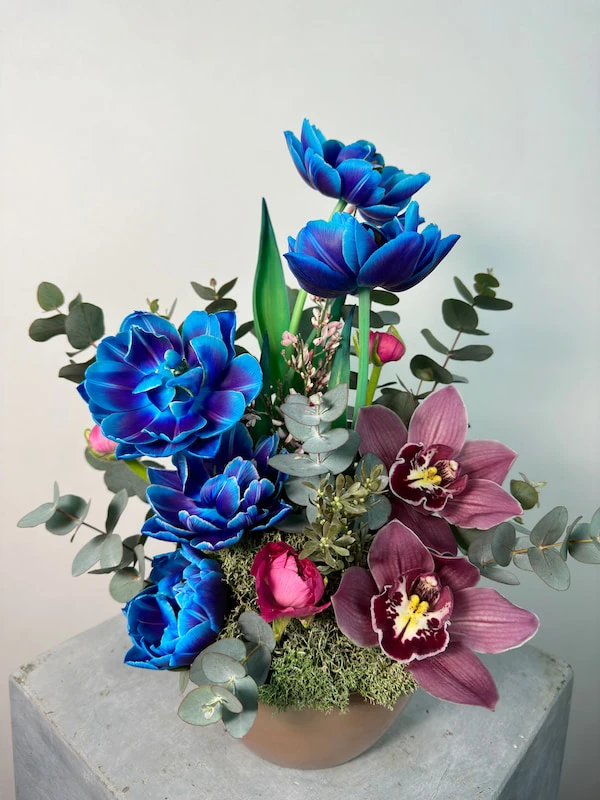 Nami Rose Vazoda Kozmik Laleler