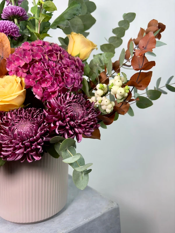 Fandango Protea Aranjman