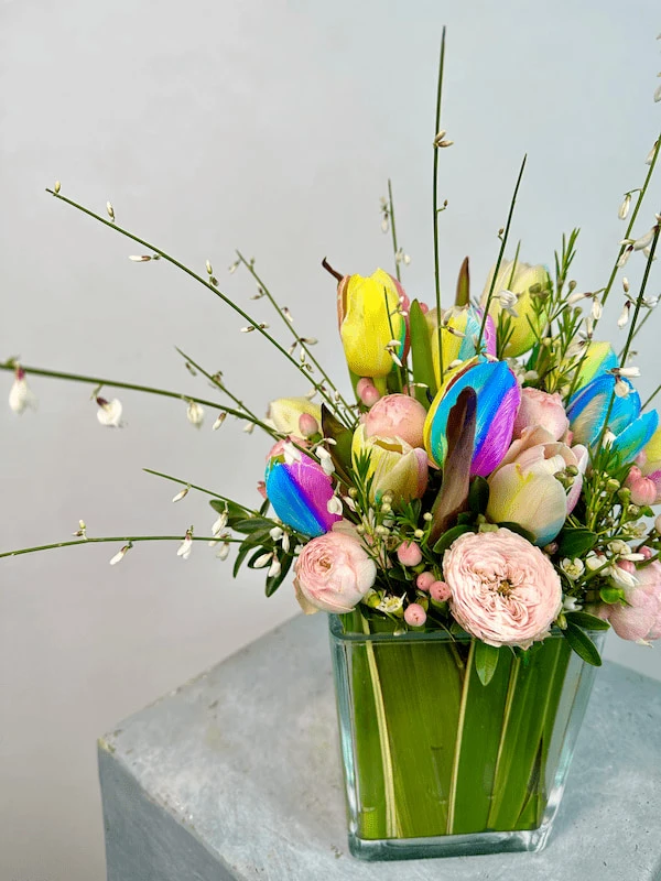 Cam Vazoda Rainbow Lale Mini