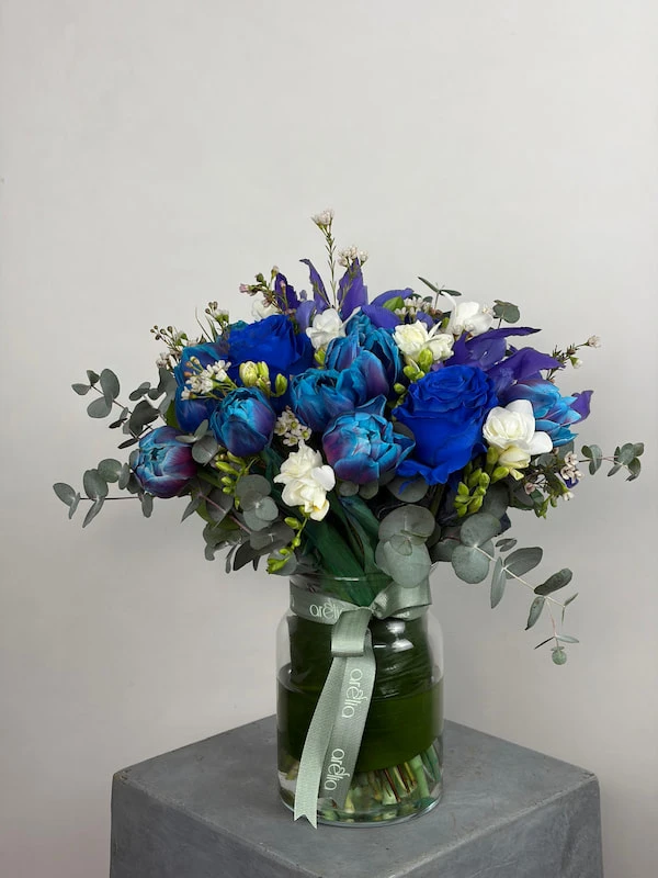 Bluvion Lale Aranjman