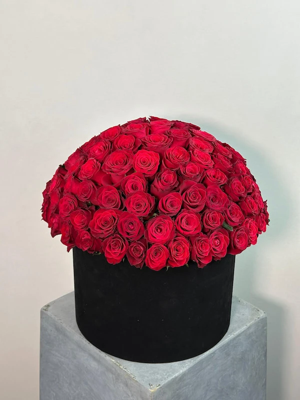 Envei Deluxe Kutuda Gül